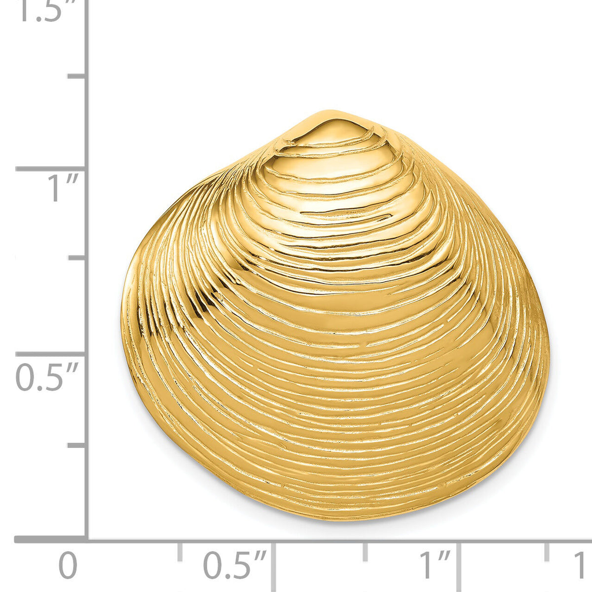 14k Clam Shell Slide-D2863