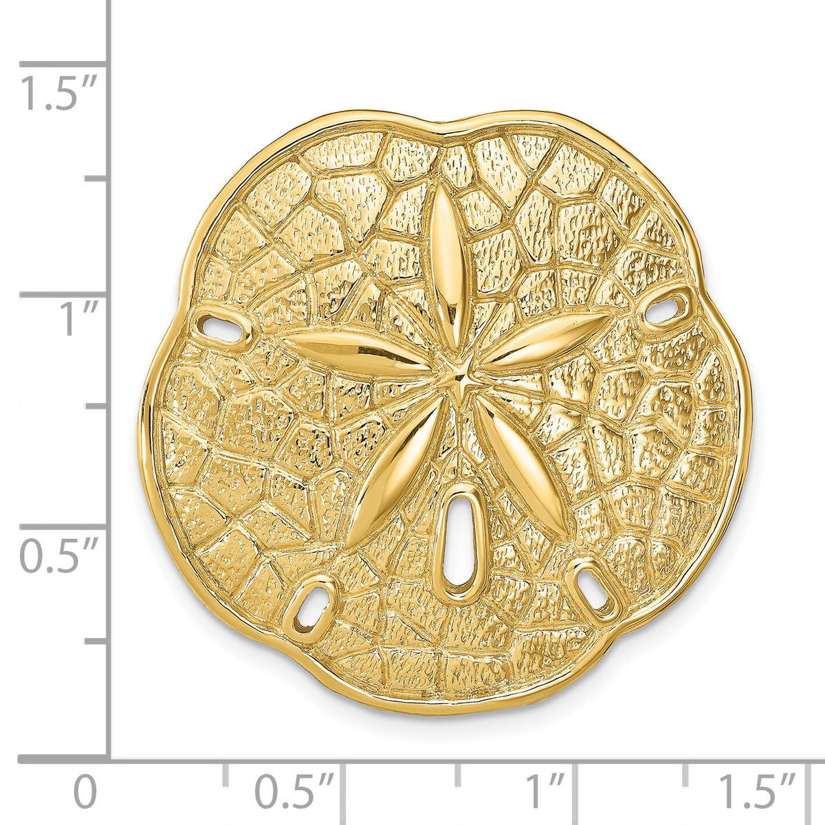 14k Sand Dollar Slide-D2868