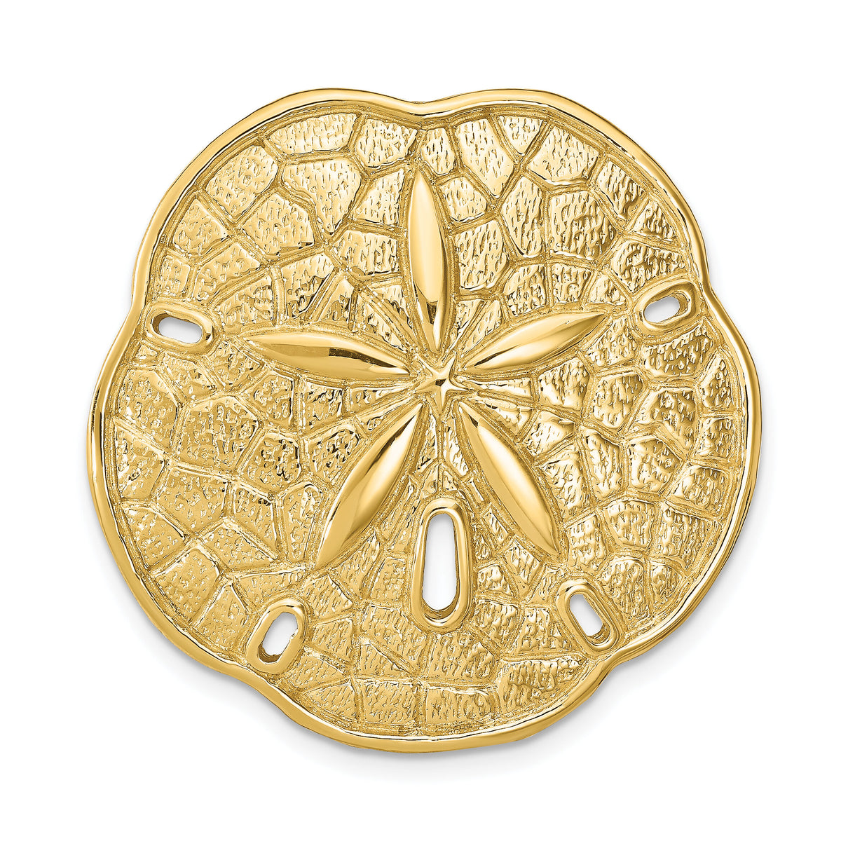 14k Sand Dollar Slide-D2868