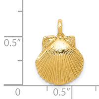 14k Seashell Pendant-D2992