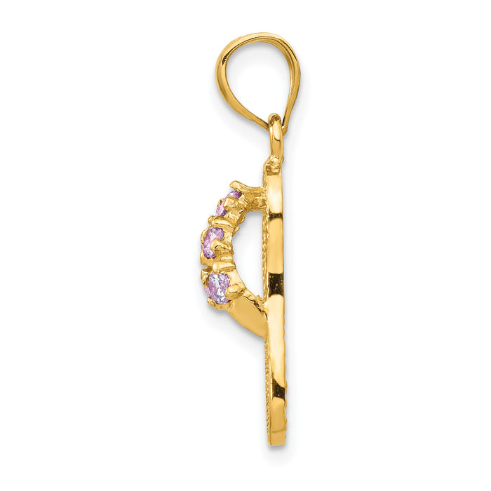 14k  3D February/CZ Birthstone Flip Flop Pendant-D3422