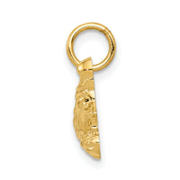 14k Go-Kart Charm-D3447