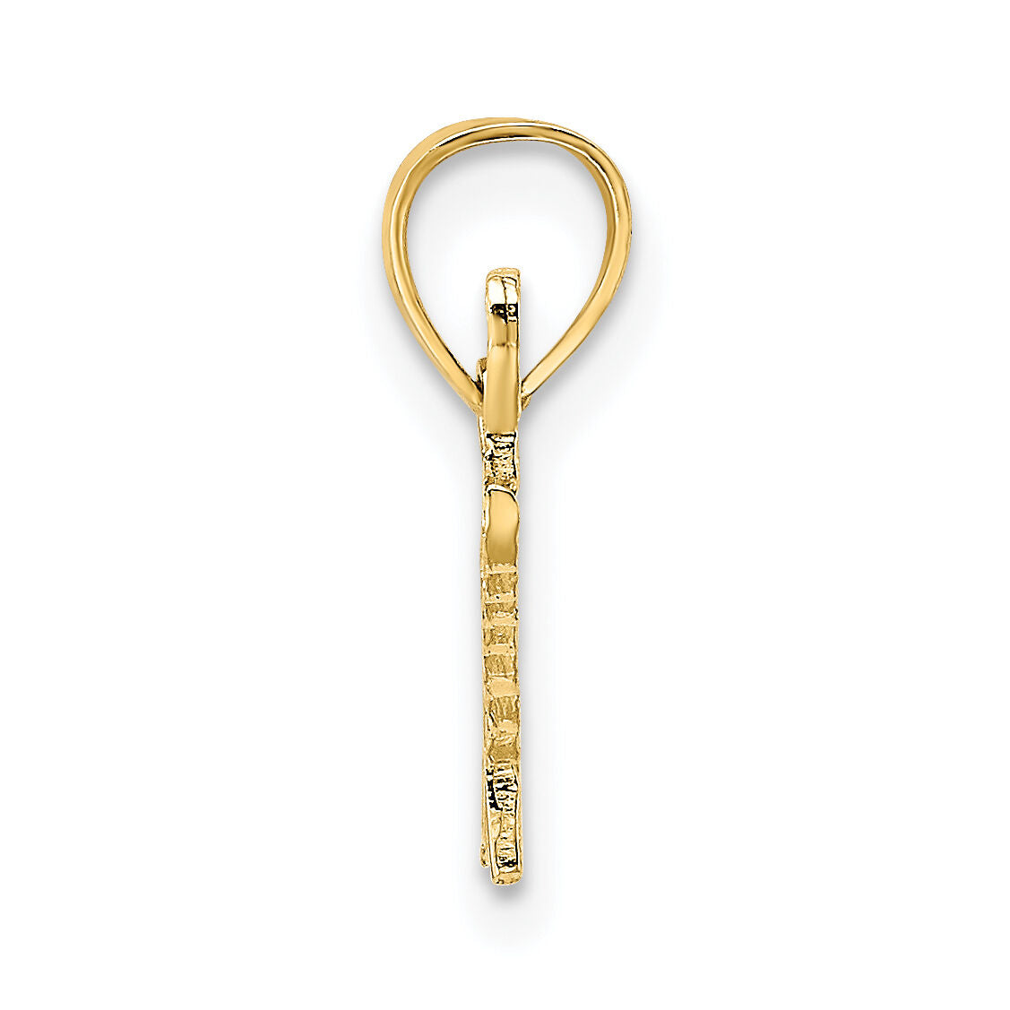 14K Polished and Textured SPECIAL Charm-D3881