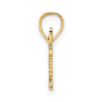 14K Polished and Textured SPECIAL Charm-D3881