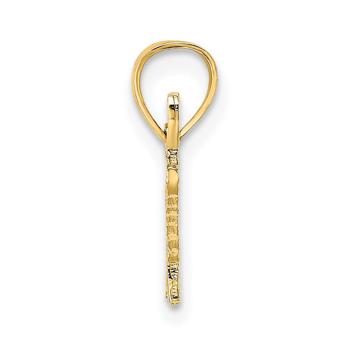 14K Polished and Textured SPECIAL Charm-D3881