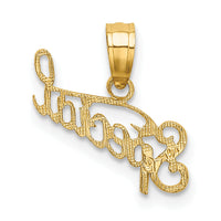 14K Polished and Textured SPECIAL Charm-D3881
