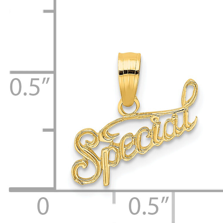 14K Polished and Textured SPECIAL Charm-D3881