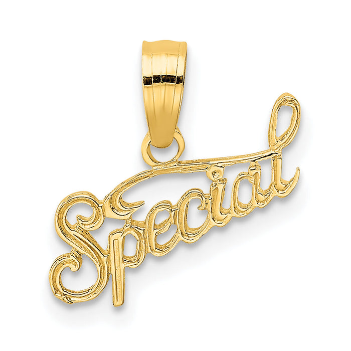 14K Polished and Textured SPECIAL Charm-D3881