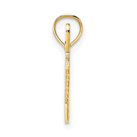 14K Polished and Textured SPECIAL Charm-D3886