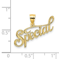 14K Polished and Textured SPECIAL Charm-D3886