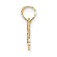 14K SPECIAL NIECE Charm-D3967