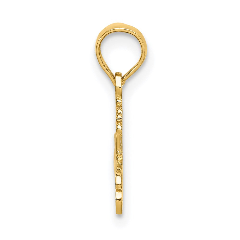 14K #1 PRINCESS Charm-D3984