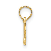 14K PRECIOUS Charm-D3998