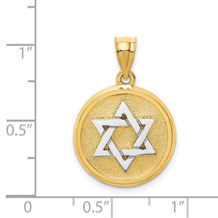 14k Two-tone Solid Satin Finish Flat Back Star of David Disc Charm-D40