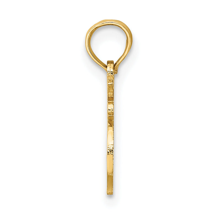 14K 100% LEO Zodiac Charm-D4058