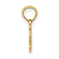 14K 100% VIRGO Zodiac Charm-D4059