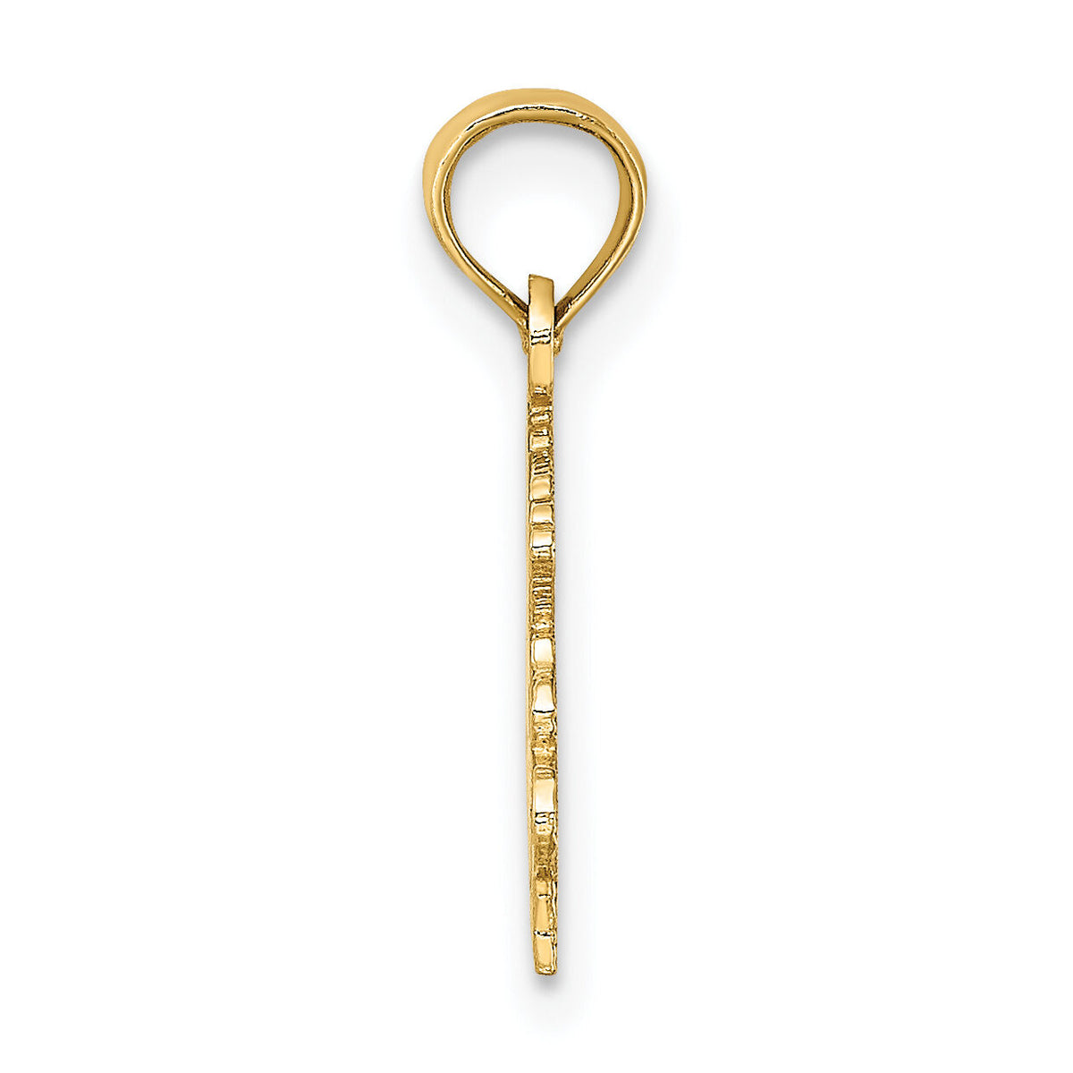 14K 100% CAPRICORN Zodiac Charm-D4063