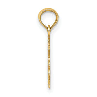 14K 100% CAPRICORN Zodiac Charm-D4063