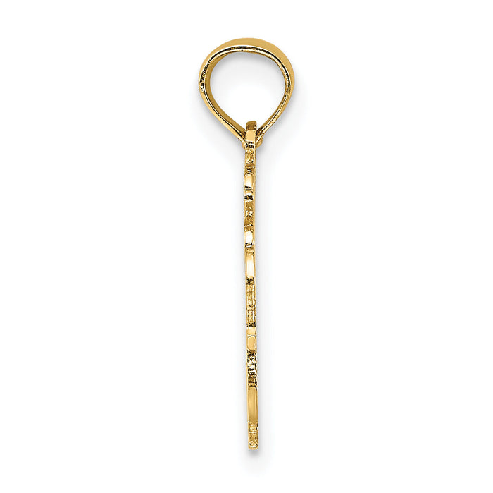 14K 100% AQUARIUS Zodiac Charm-D4064