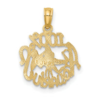 14K 100% AQUARIUS Zodiac Charm-D4064