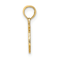 14K 100% PISCES Zodiac Charm-D4065