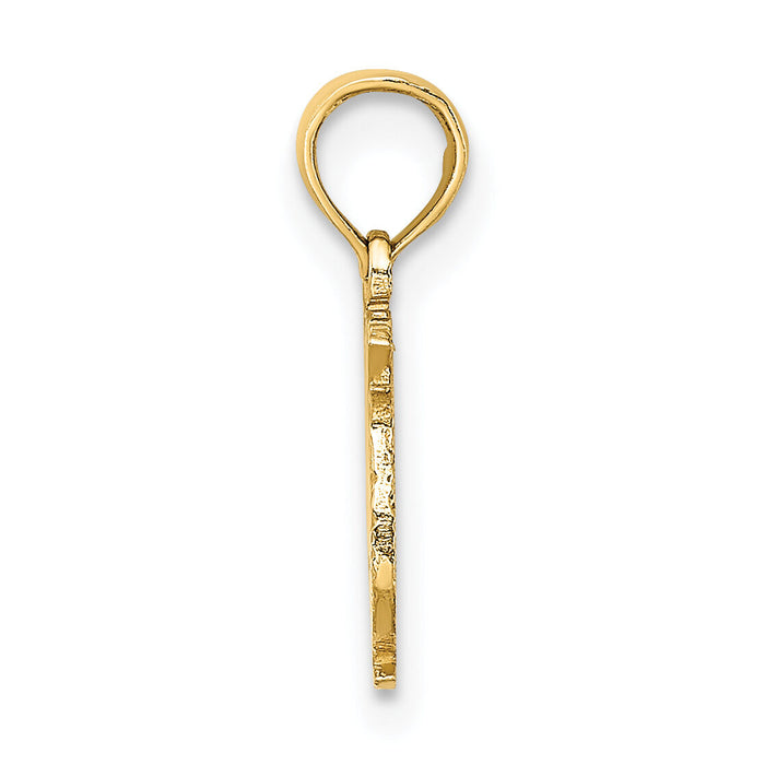 14K 100% PISCES Zodiac Charm-D4065