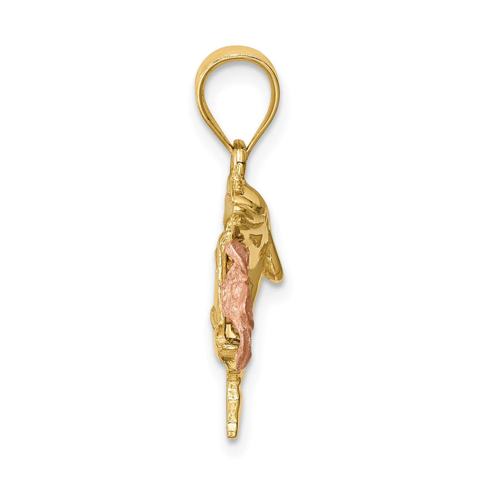 14K Two-tone Brushed/Polished Diamond-cut Plumeria w/Dolphin Pendant-D4493