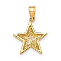 14K Polished Star Pendant-D4583