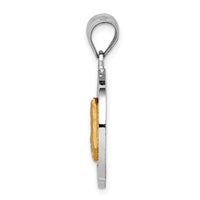 14K Two-tone Brushed & Polished Virgin D/C Mary Pendant-D4678