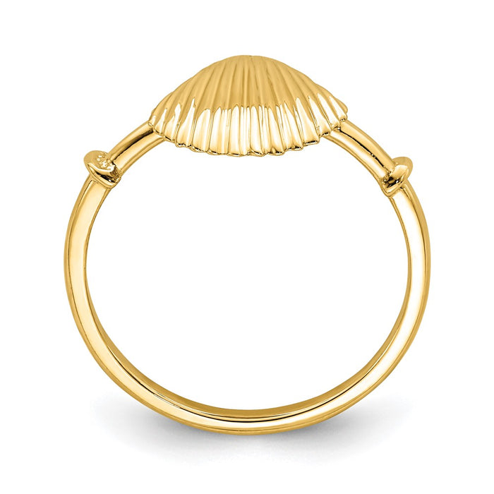 14K Polished Shell Ring-D4729