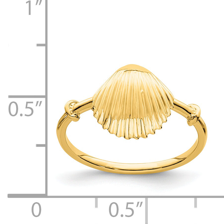 14K Polished Shell Ring-D4729