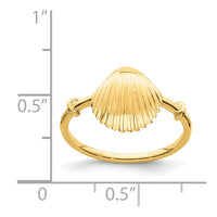 14K Polished Shell Ring-D4729