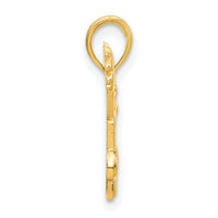 14k Polished Cheerleader Pendant-D5289