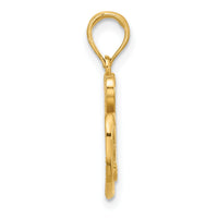 14k Polished and Satin Fancy Clover Charm-D5432
