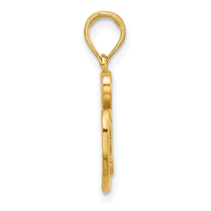 14k Polished and Satin Fancy Clover Charm-D5432