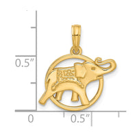 14K Polished Elephant in Circle Charm-D5529