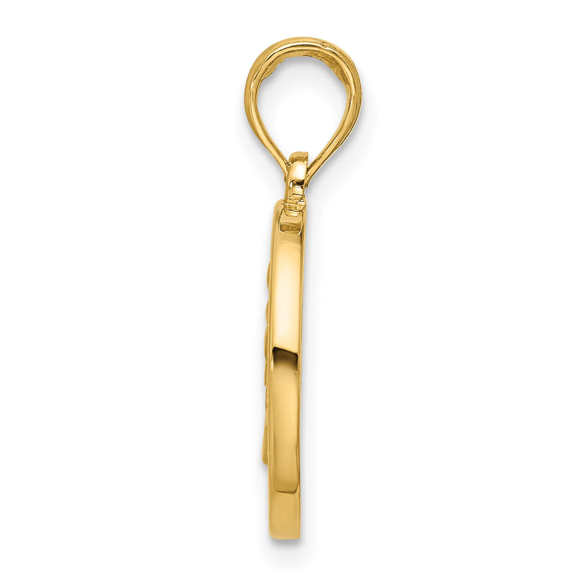 14K Polished Round Leo Pendant-D5739