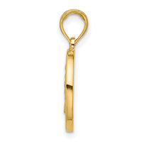 14K Polished Round Leo Pendant-D5739