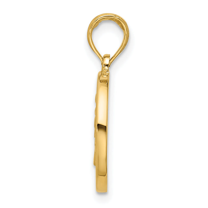 14K Polished Round Leo Pendant-D5739