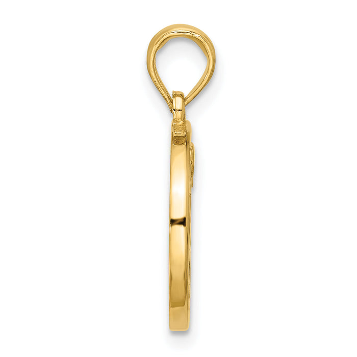 14K Polished Round Aries Pendant-D5740
