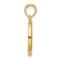 14K Polished Round Aquarius Pendant-D5743