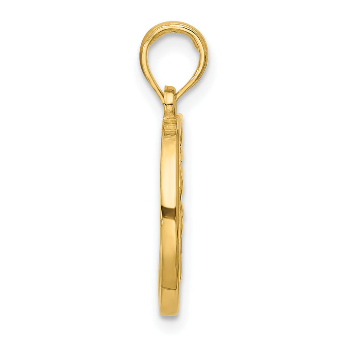 14K Polished Round Aquarius Pendant-D5743