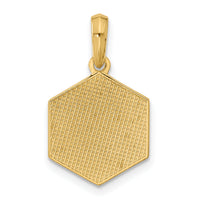 14K Polished D20 Twenty-sided Dice Pendant-D5754