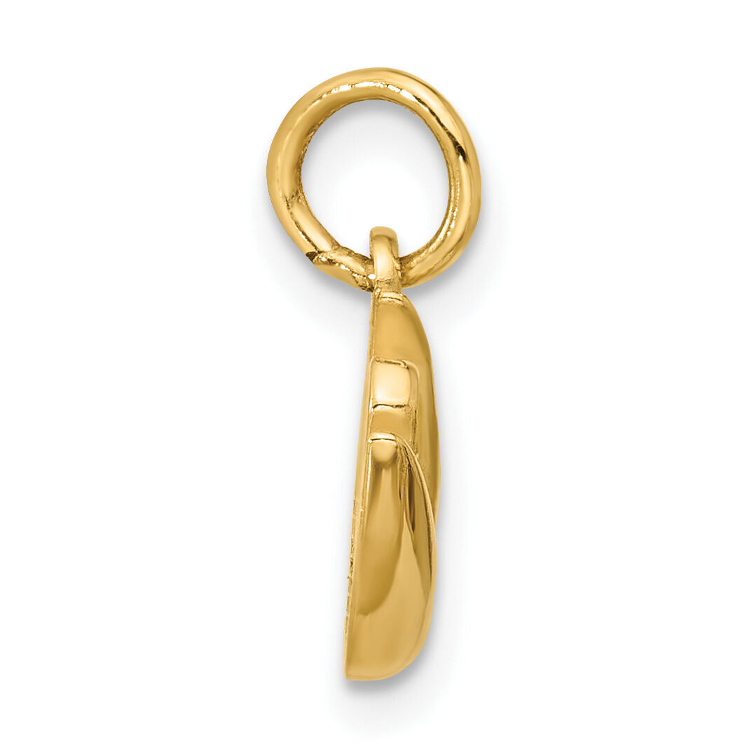 14K Polished Enameled Pistachio Pendant-D5757
