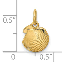 14K Polished Textured Seashell Pendant-D5758
