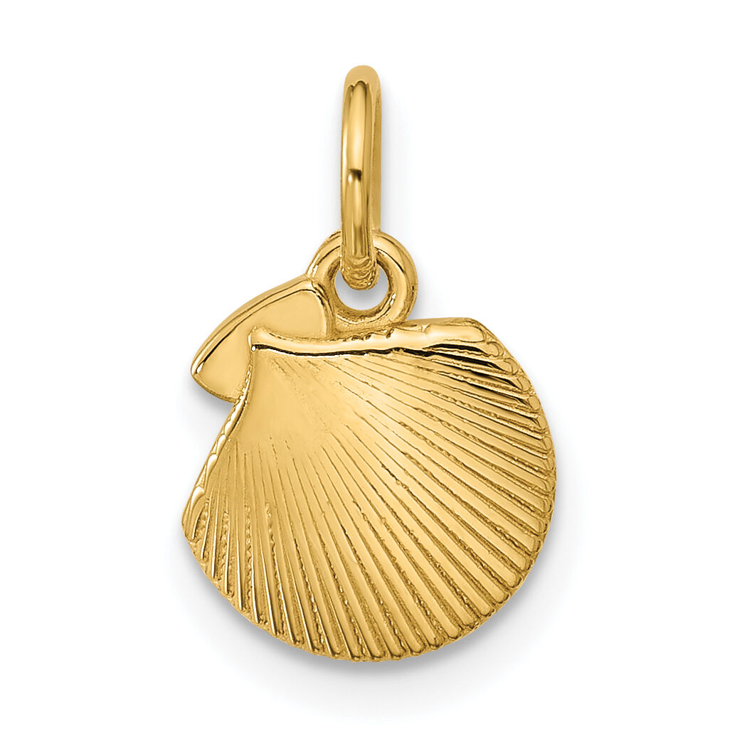 14K Polished Textured Seashell Pendant-D5758