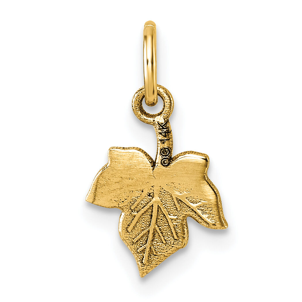 14K Polished Leaf Pendant-D5768