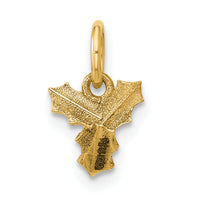 14K Polished Holly Pendant-D5777