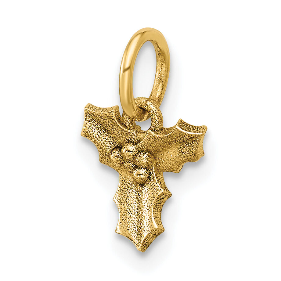 14K Polished Holly Pendant-D5777