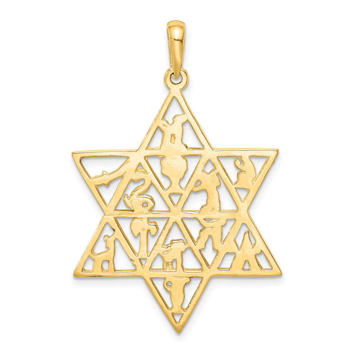 14K Star Of David 12 Tribes Pendant-D894